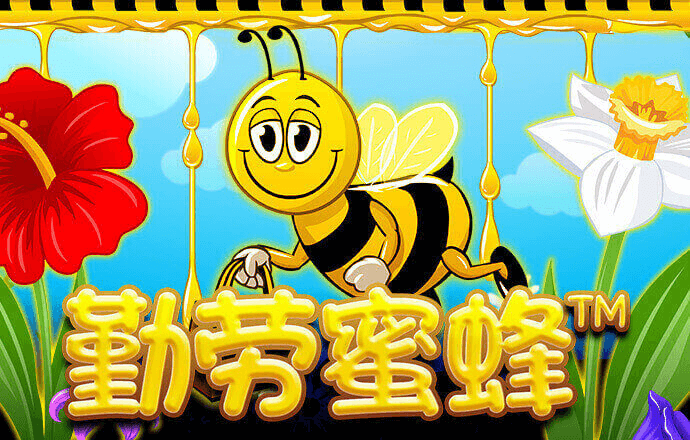 万博体育app下载官网